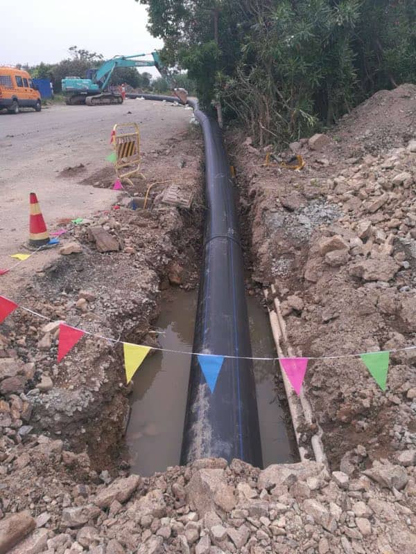 PHOTO-2019-02-17-12-00-41 2